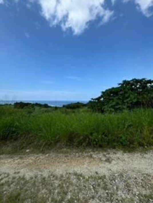 川平土地02